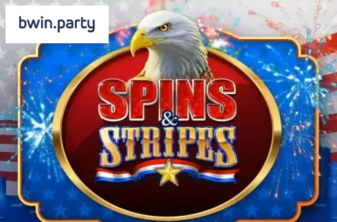 Spins and Stripes